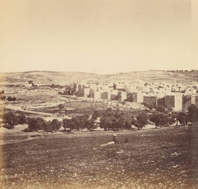 Panoramablick auf die Stadt - Gesamtansicht der Stadt von Norden von Sgt. James M. McDonald